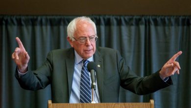 democrats-push-major-social-security-boost-for-widows;-even-as-insolvency-deadline-nears-–-financial-freedom-countdown